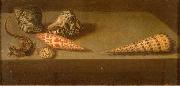 AST, Balthasar van der Lezards et coquillages oil